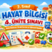 2. sınıf hayat bilgisi sınav 4. ünite